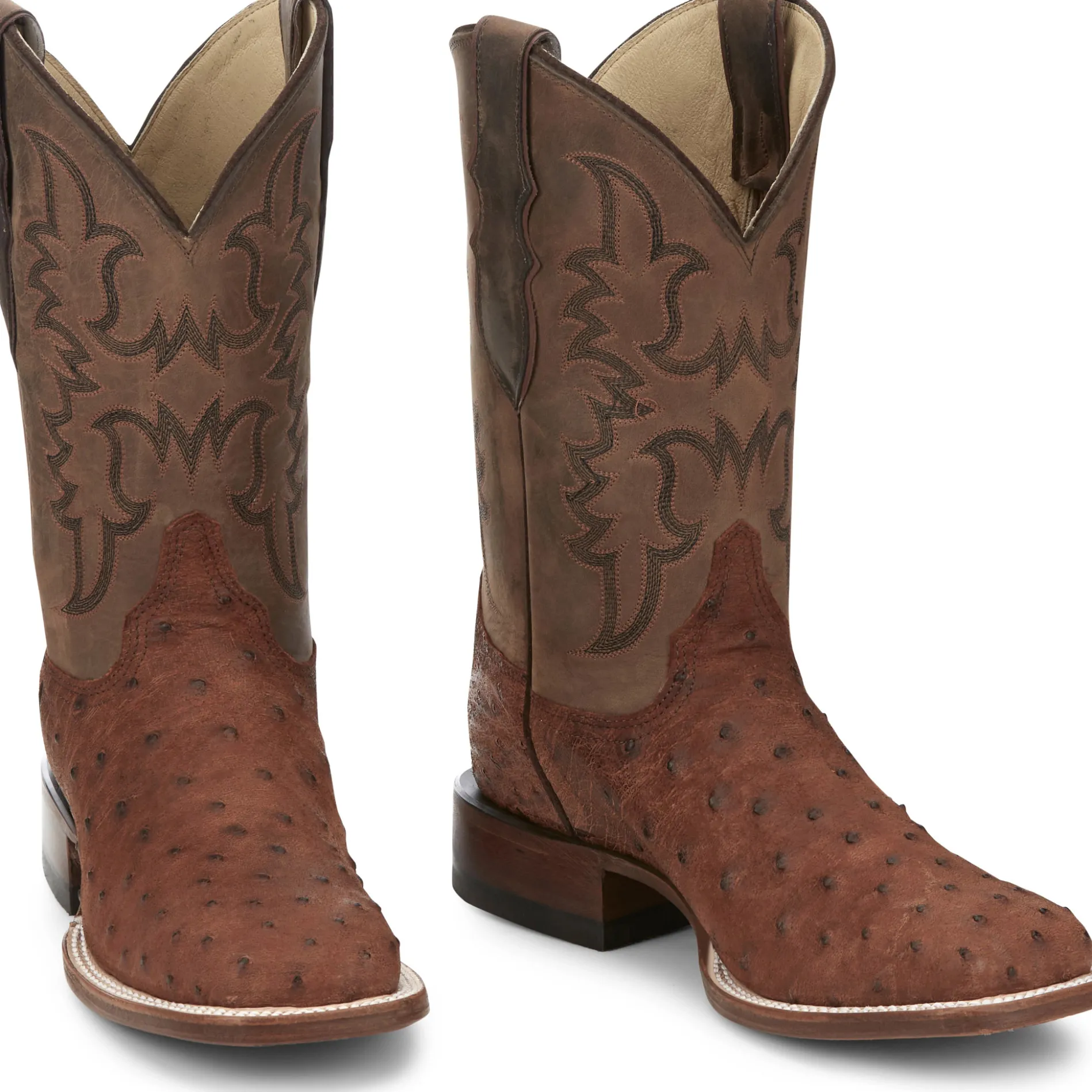 Belmont 11" Full Quill Ostrich