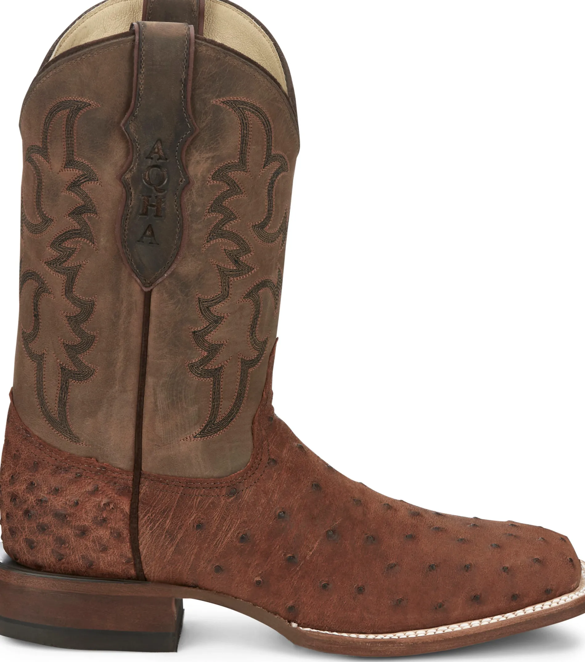 Belmont 11" Full Quill Ostrich