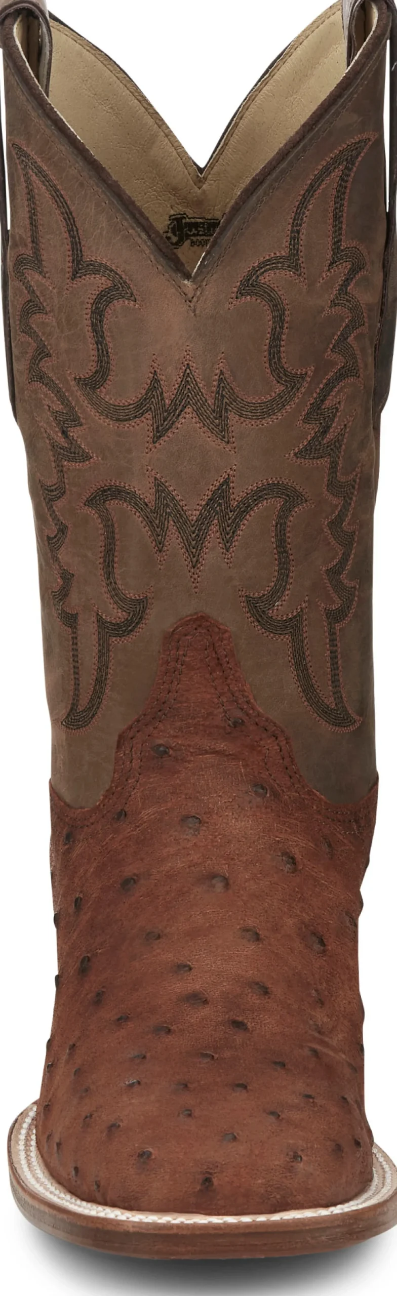 Belmont 11" Full Quill Ostrich