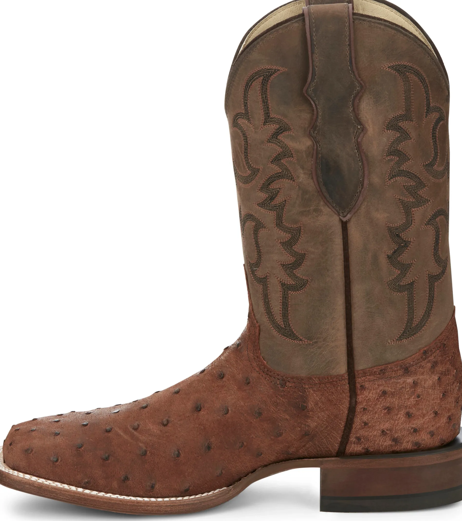 Belmont 11" Full Quill Ostrich