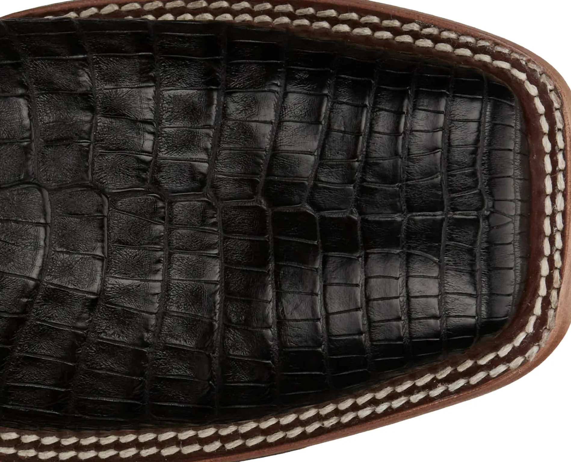 Haggard 11" Caiman